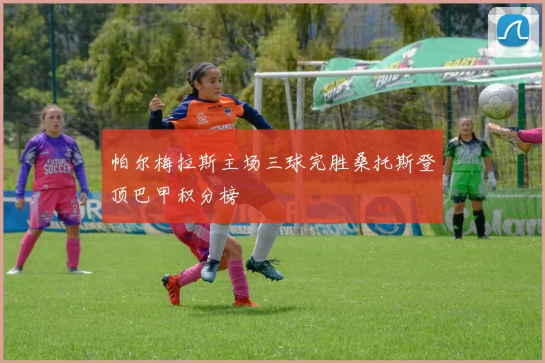 帕尔梅拉斯主场三球完胜桑托斯登顶巴甲积分榜