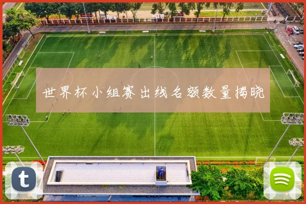 世界杯小组赛出线名额数量揭晓