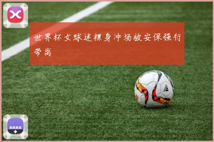 世界杯女球迷裸身冲场被安保强行带离