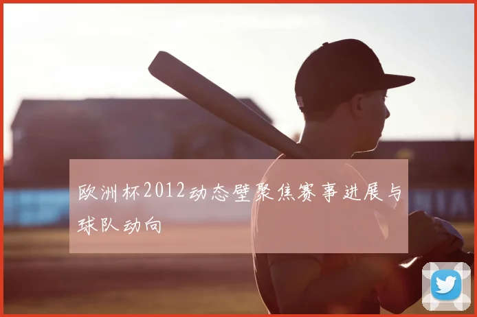 欧洲杯2012动态壁聚焦赛事进展与球队动向