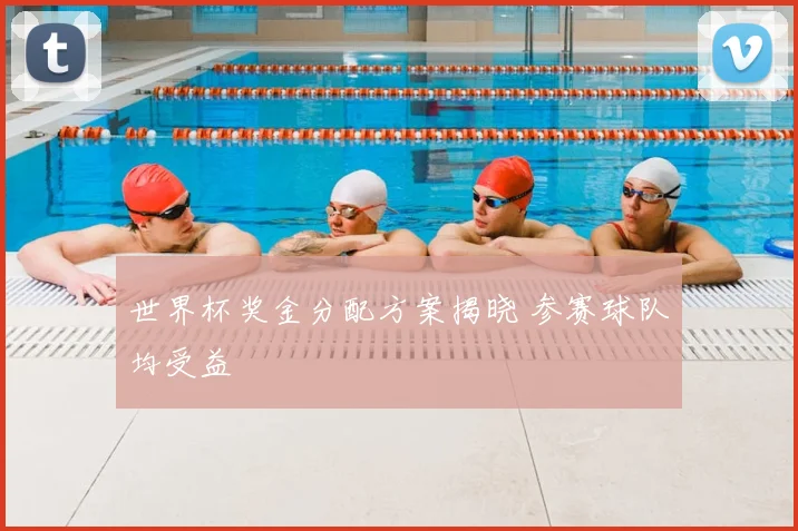世界杯奖金分配方案揭晓 参赛球队均受益