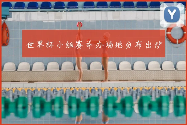 世界杯小组赛举办场地分布出炉