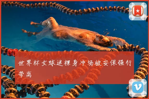 世界杯女球迷裸身冲场被安保强行带离