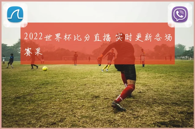 2022世界杯比分直播 实时更新各场赛果