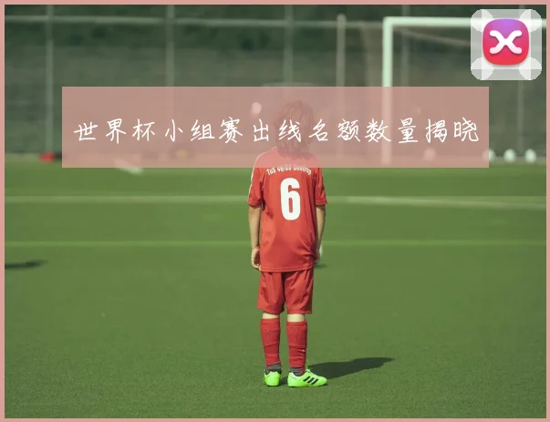 世界杯小组赛出线名额数量揭晓